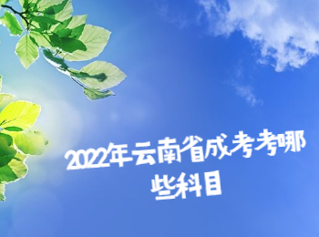 云南成考 云南省成考科目