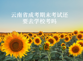 云南省成考期末考試
