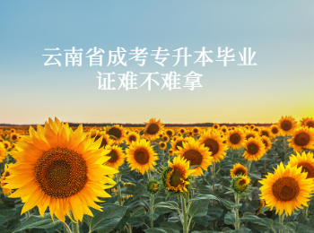云南省成考專升本畢業證