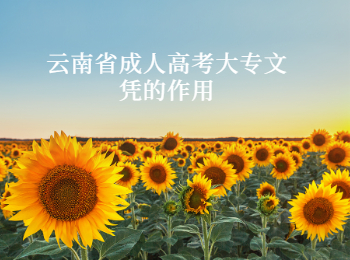 云南省成人高考大專文憑