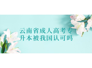 云南省成人高考專升本