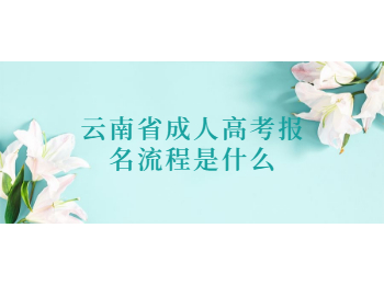 云南省成人高考報名流程