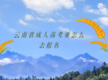 云南成考 云南省成考人高考報名
