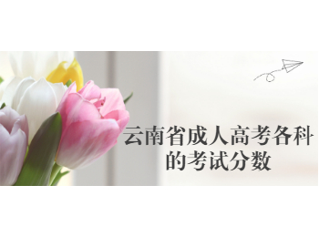 云南省成人高考考試分數