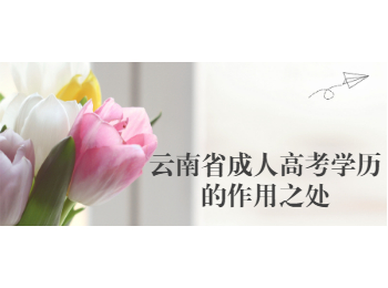 云南省成人高考學歷