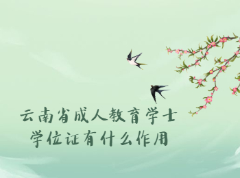 云南省成人教育學士學位證