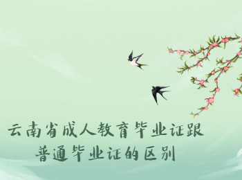 云南省成人教育畢業(yè)證