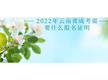 云南省成考報名證明
