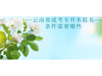 云南省成考專升本報名條件
