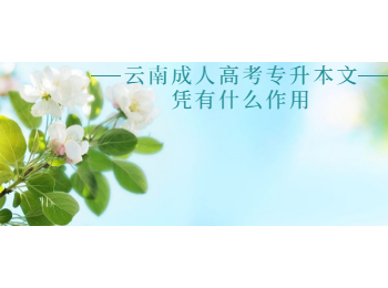 云南成人高考專升本文憑