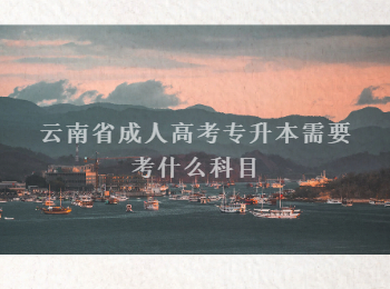 云南省成人高考專升本科目