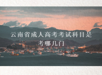 云南省成人高考考試科目