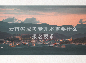 云南省成考專升本報名要求