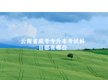 云南省成考專升本考試科目