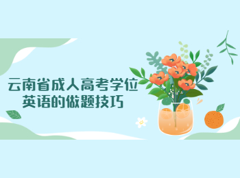 云南省成人高考學(xué)位英語