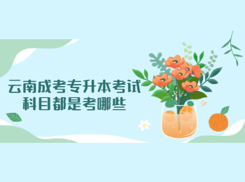 云南成考專升本考試科目