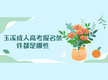 玉溪成人高考報(bào)名條件