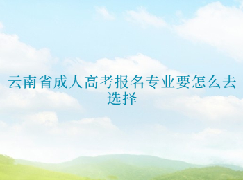 云南省成人高考報名專業