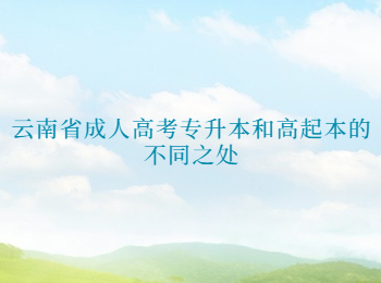 云南成考網 云南省成人高考