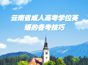 云南省成人高考學位英語