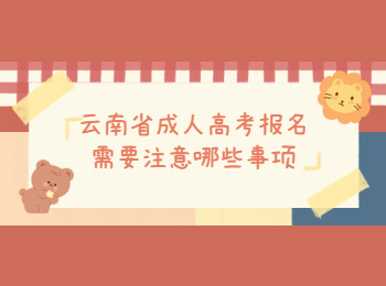 云南省成人高考報名