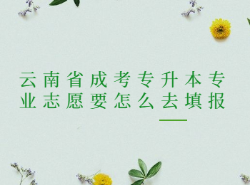 云南省成考專升本專業志愿