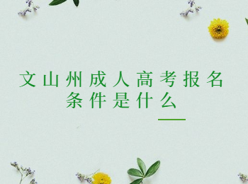 文山州成人高考報(bào)名條件