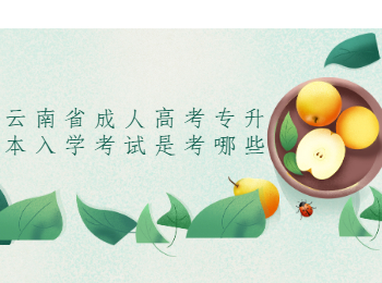 云南省成人高考專升本入學(xué)考試