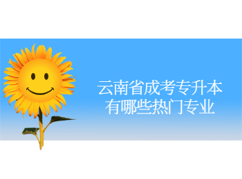云南省成考專升本熱門專業