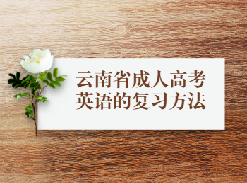 云南省成人高考英語