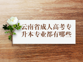 云南省成人高考專升本專業(yè)
