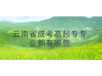 云南省成考高起專專業