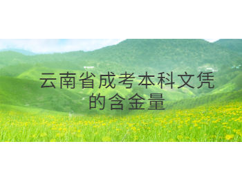 云南省成考本科文憑
