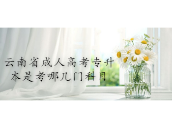 云南省成人高考專升本