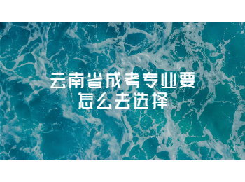 云南省成考學士學位