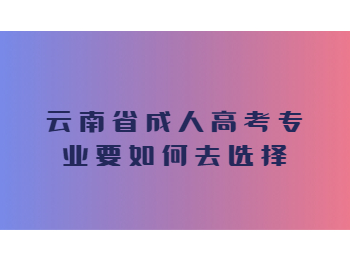 云南省成人高考專業(yè)