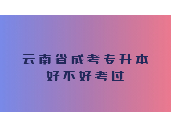 云南省成考專升本 云南成考