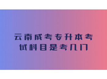 云南成考專升本考試科目