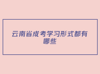 云南省成考學(xué)習(xí)形式