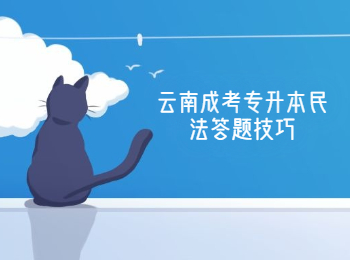 云南成考專升本民法