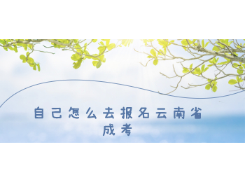 云南省成考 云南成考