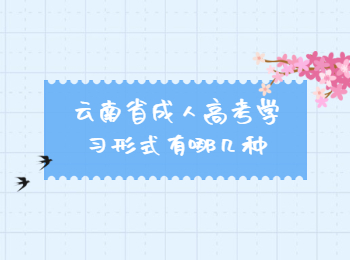 云南省成人高考學習形式