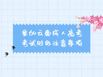 云南成人高考考試 