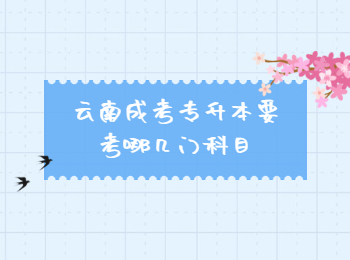 云南成考專升本 云南省成考