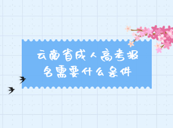 云南省成人高考報名條件