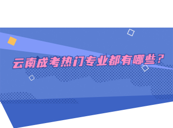 云南成考熱門專業