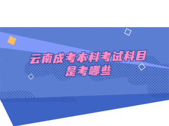 云南成考本科考試科目