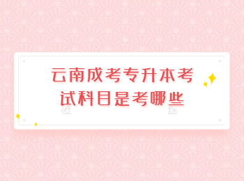 云南成考專升本考試科目