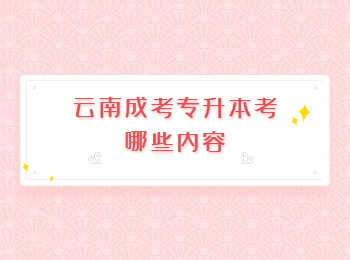 云南成考專升本 云南成考