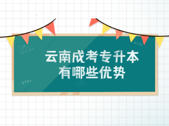 云南成考 云南成考專升本